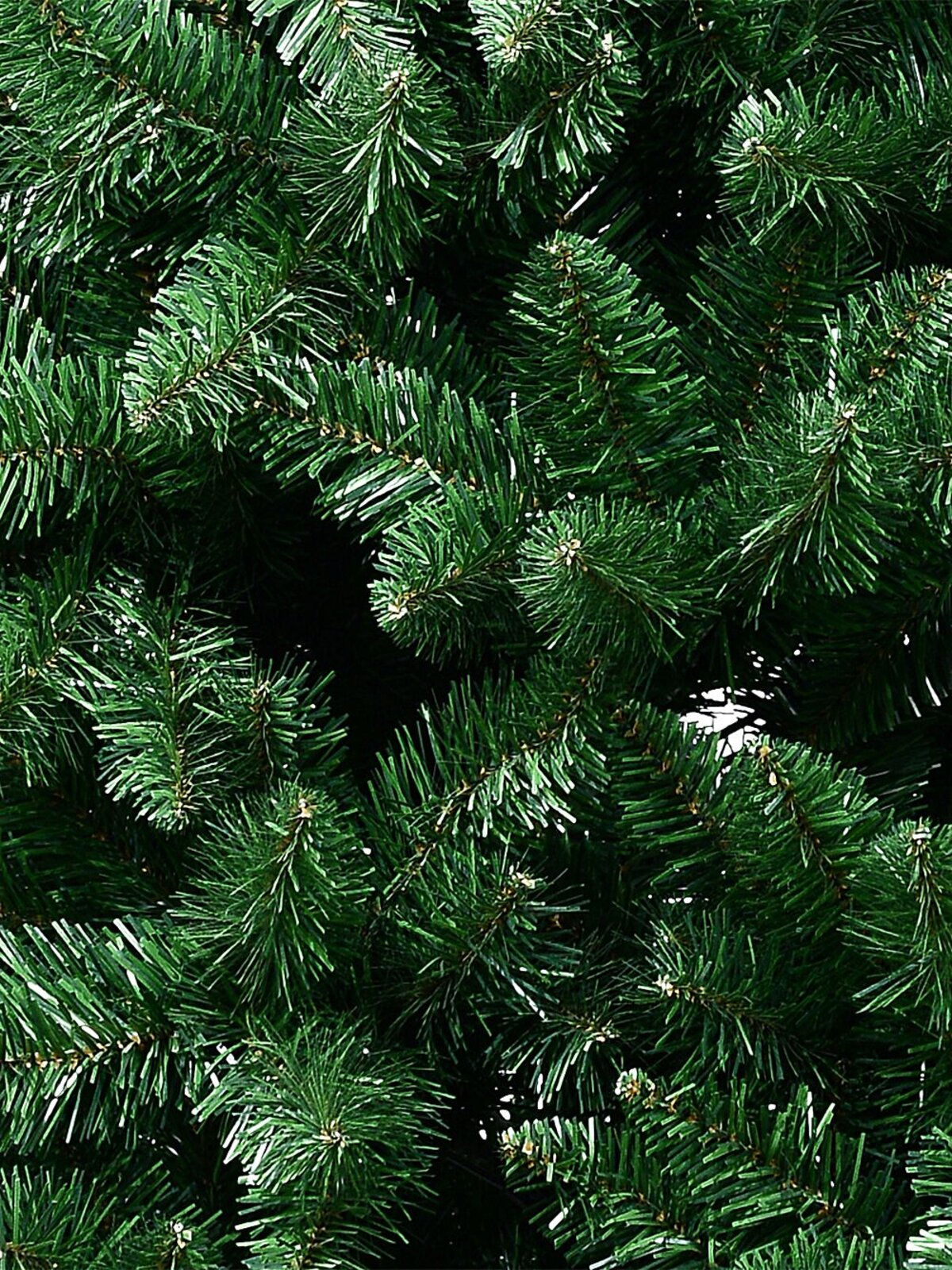 1.8m Norwegian Rjukan Fir Christmas Tree | 694 Tips & Hinged Branches — image 5