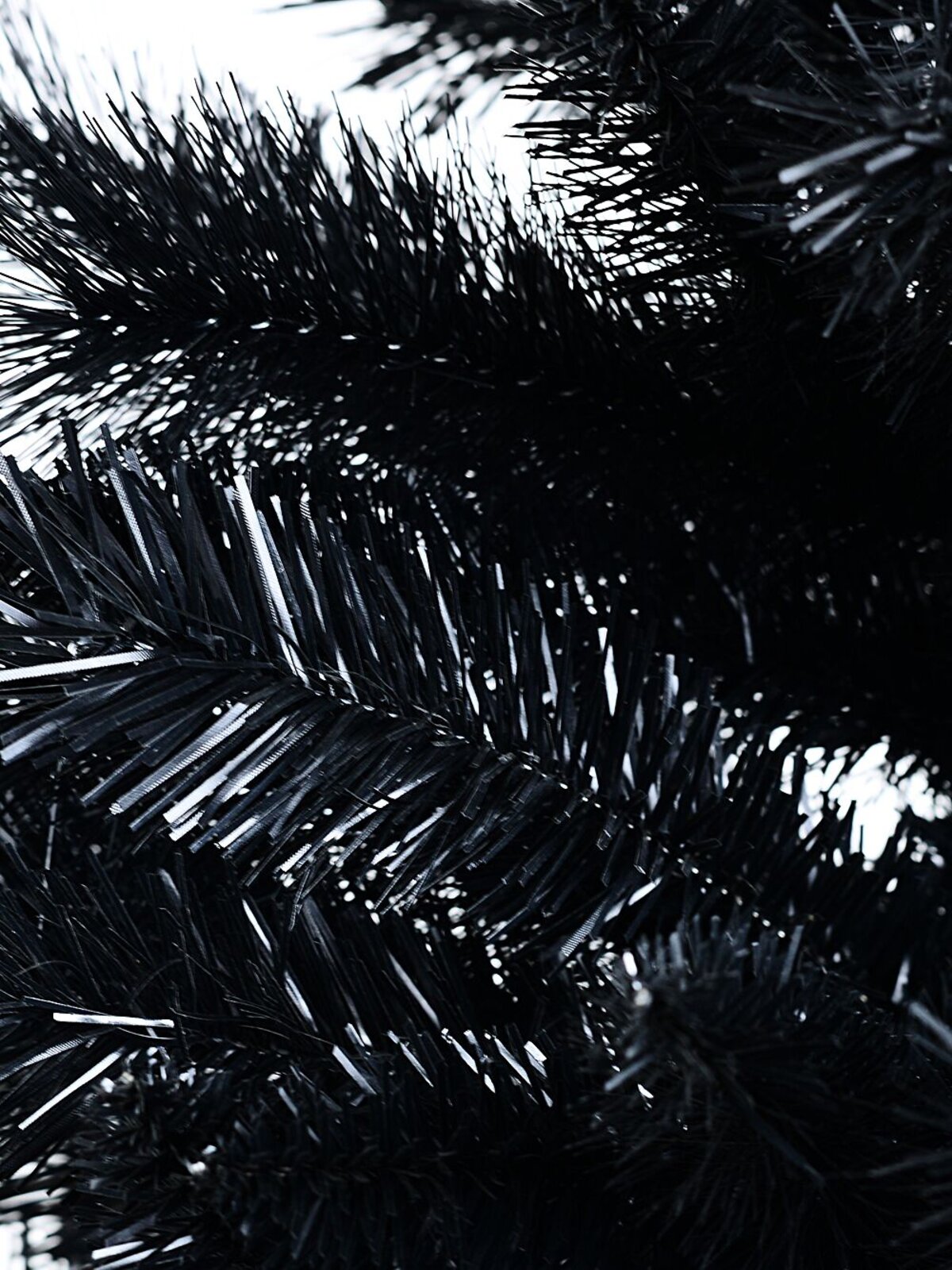 2m Black Balsam Artificial Christmas Tree | 885 Tips & Hinged Branches — image 5
