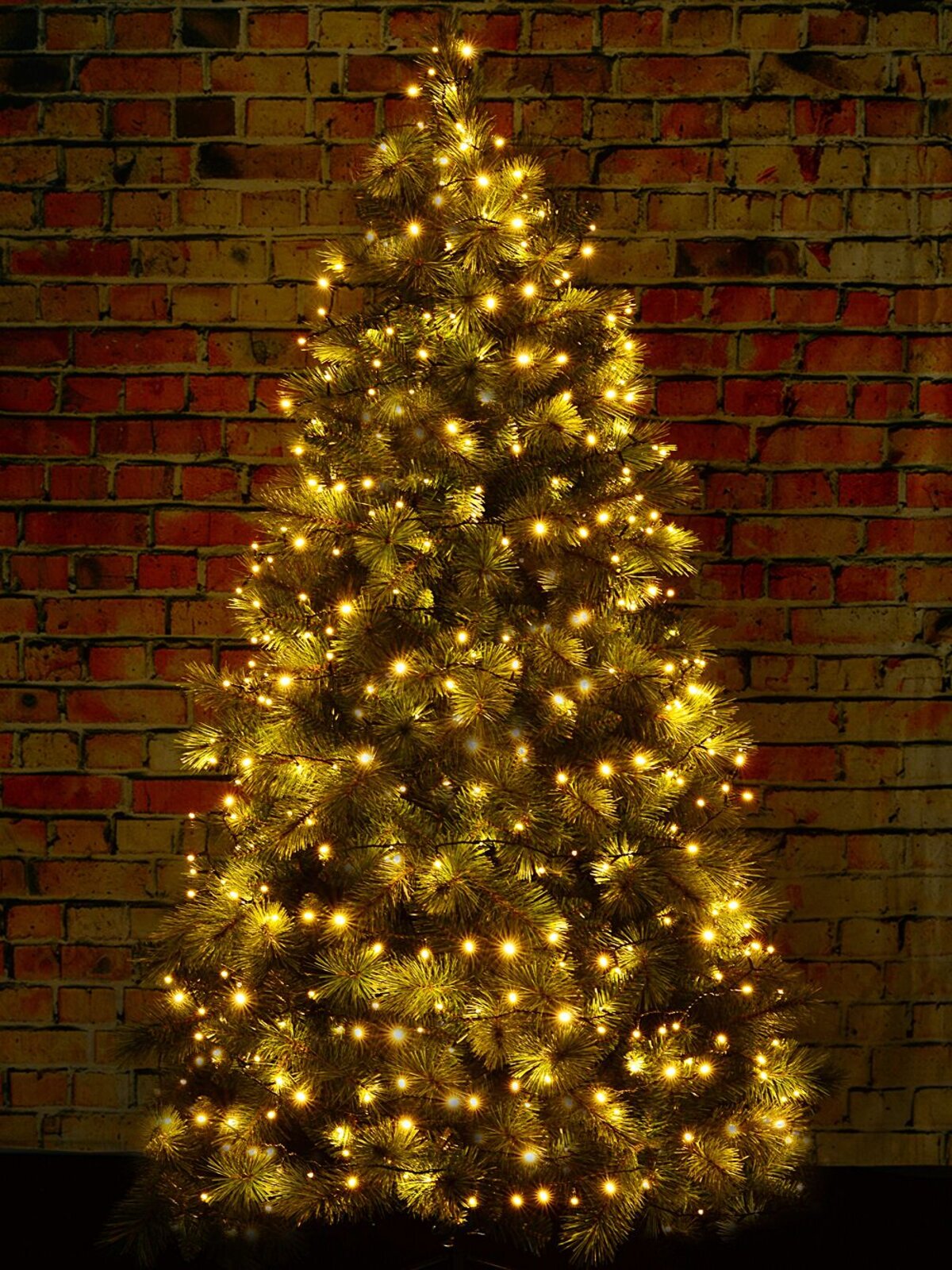 300 Warm White LED String Fairy Lights 8 Function With Timer | 15m — image 5