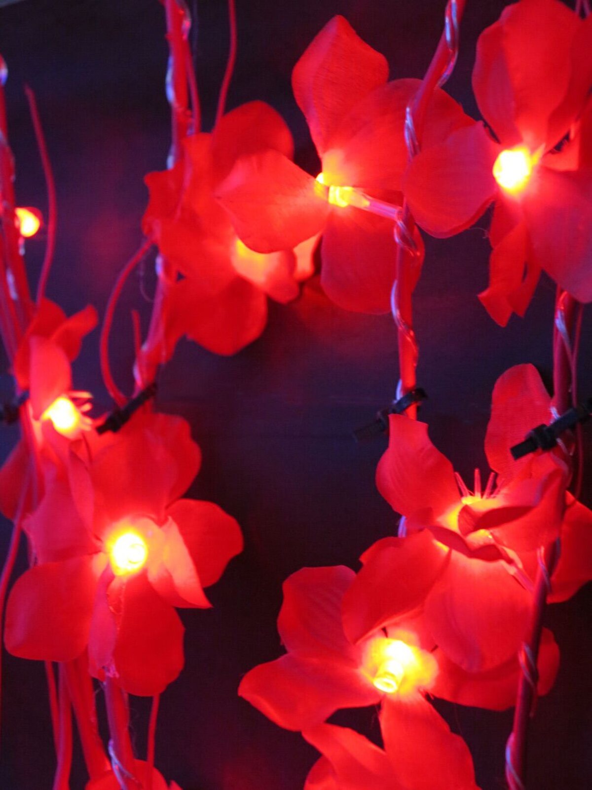 40 Red Led Poinsettia Flowers On 5 Brown Branches - 1.2m — image 2