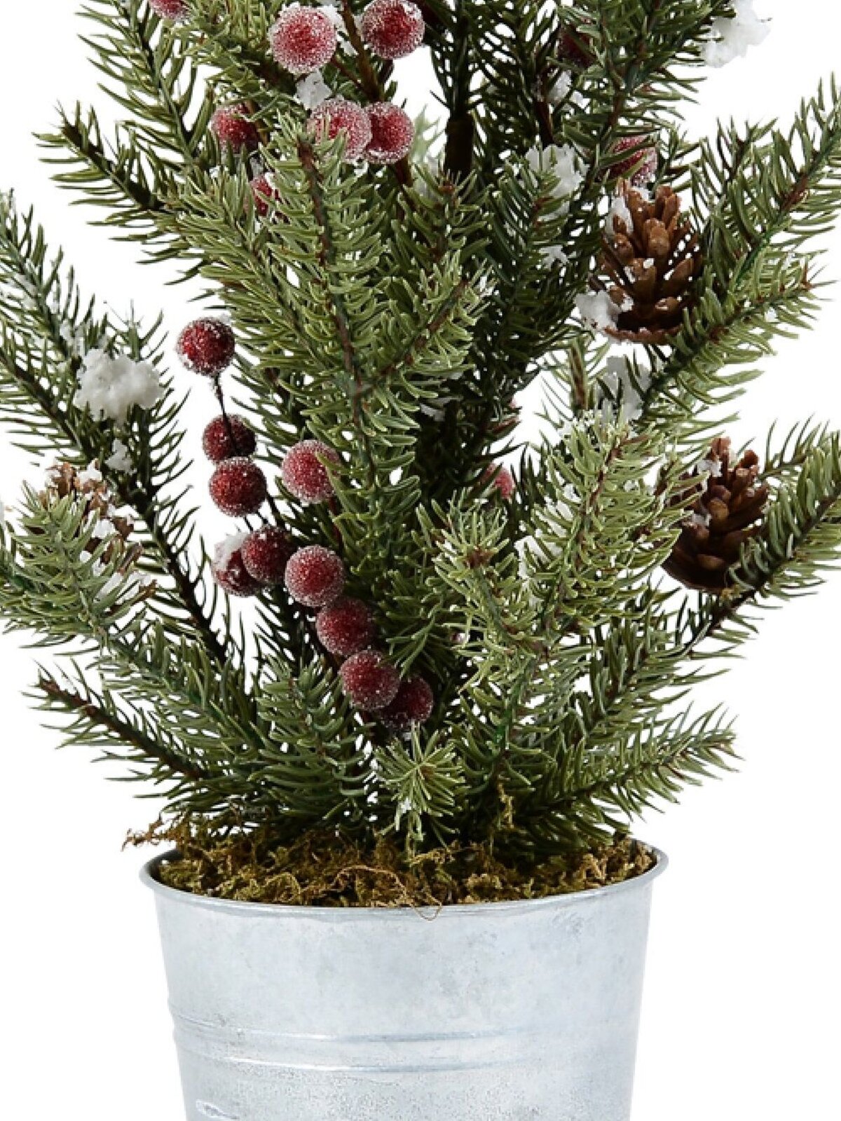 40cm Tasmanian Cedar Tabletop Christmas Conifer Tree | 37 Tips & Tin Pot — image 3