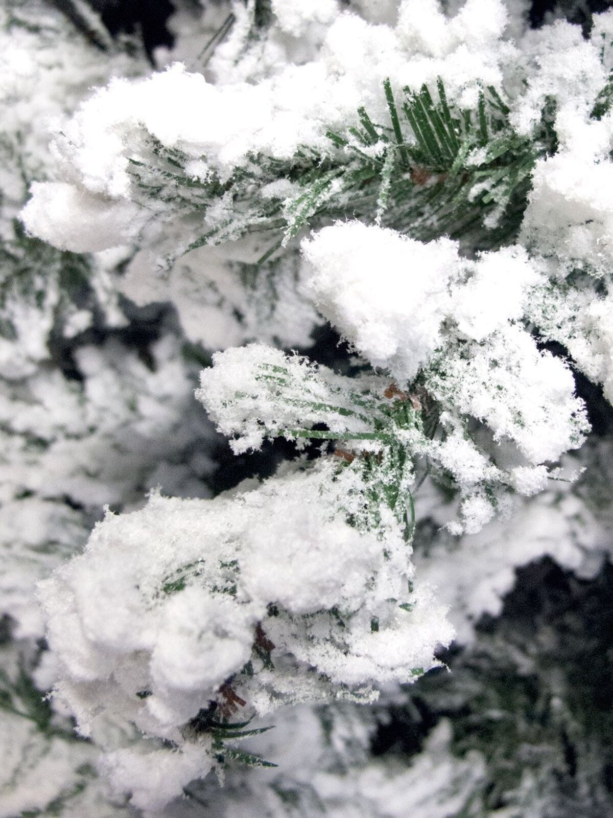 Antarctic Pine Heavily Flocked White Snow Christmas Tree with 745 Tips - 1.8m — image 4