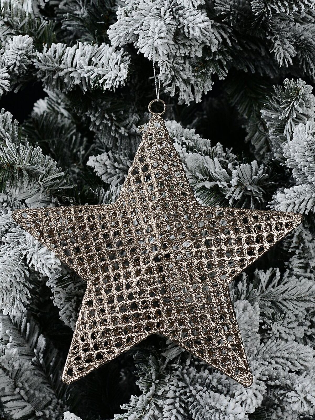 Champagne Glitter Thick Mesh Star Whimsical Essential Ornament | 26cm — image 2