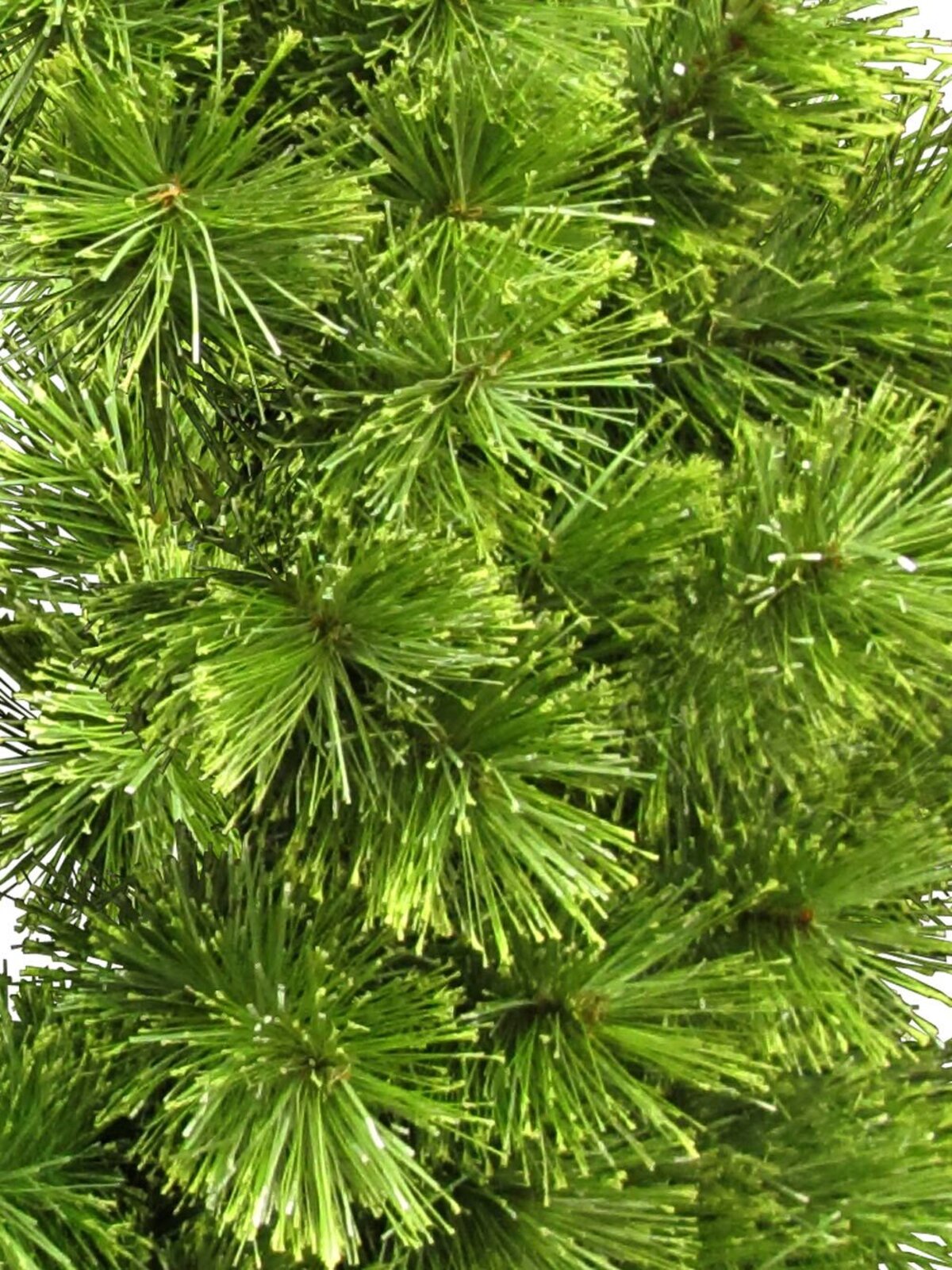 Glacier Pine Wreath - 70cm