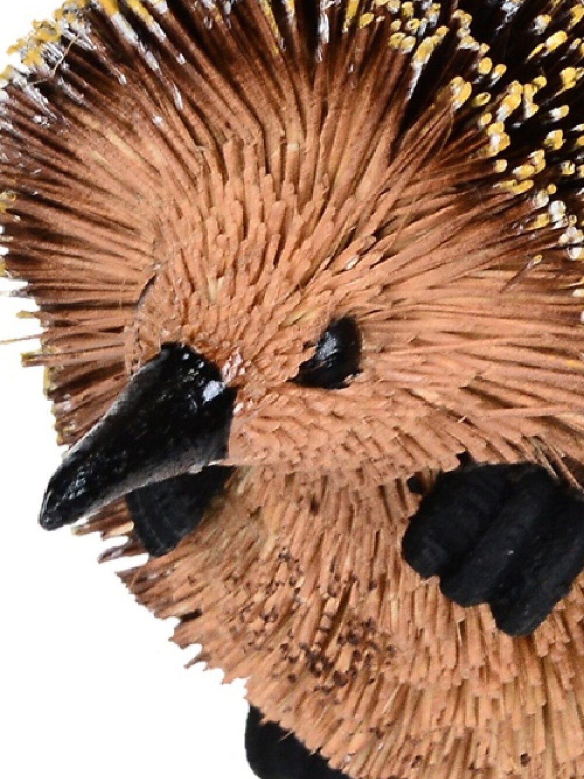 Native Echidna Whimsical Organic Australian Ornament | 70mm — image 3