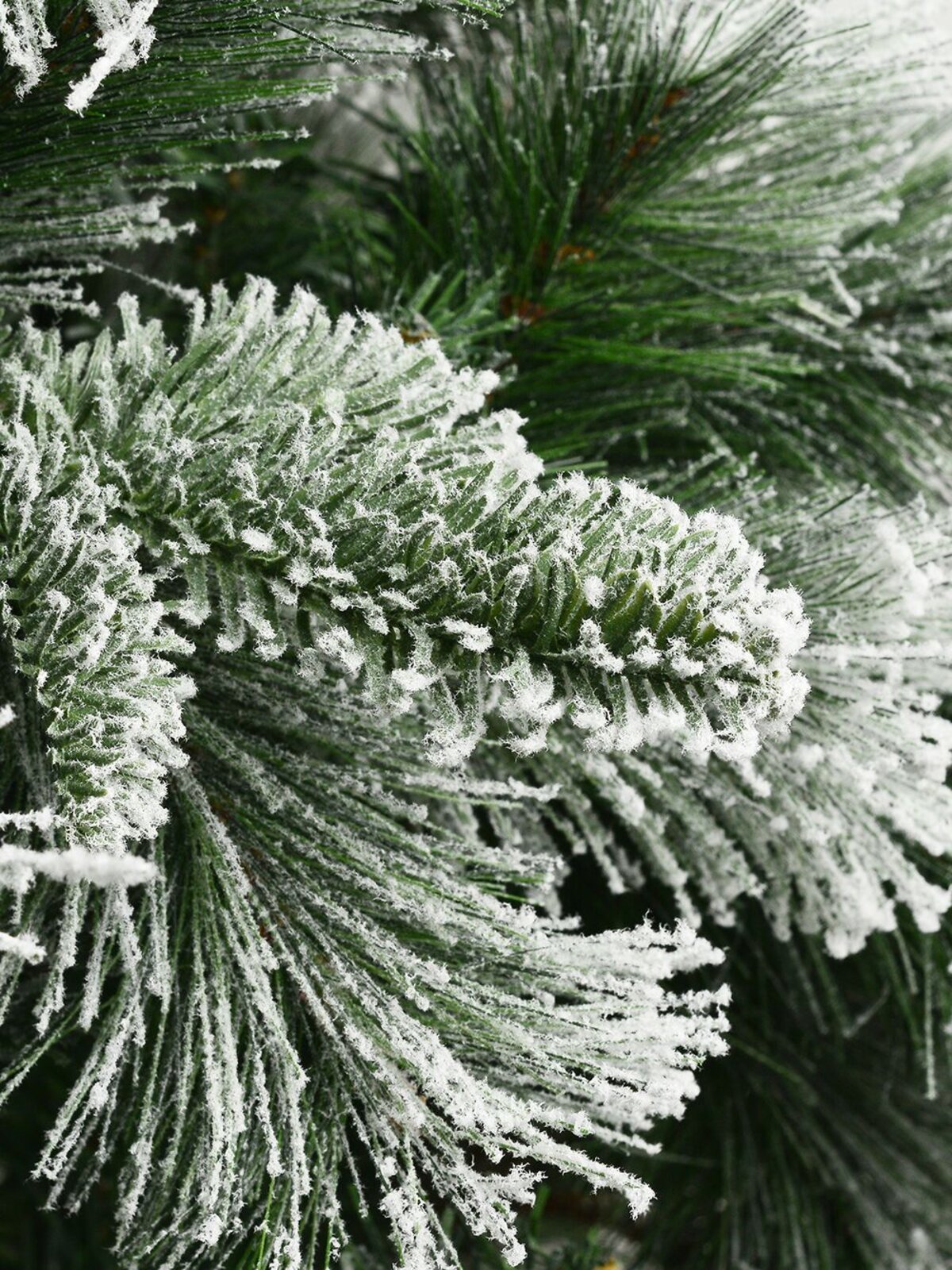 Snow Dusted Hinged Pine Christmas Tree With 626 Tips - 1.8m