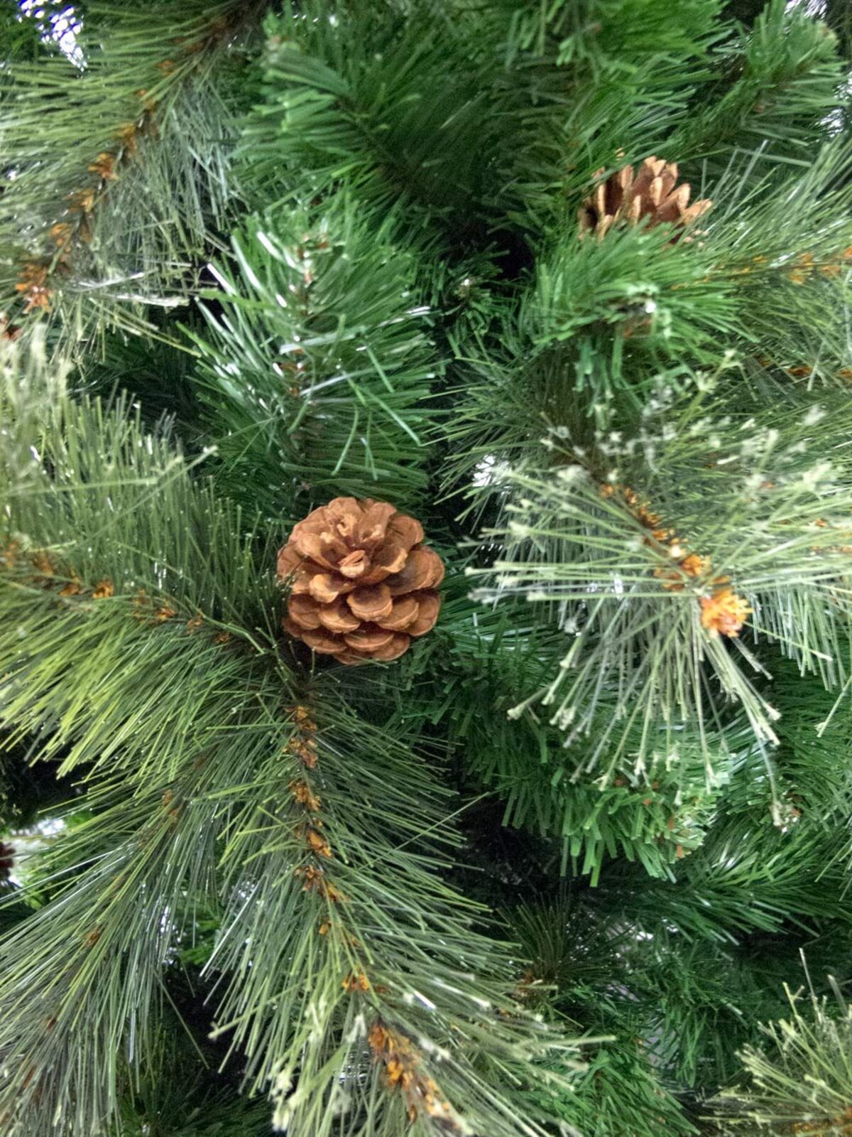 Swiss Pine Christmas Tree With Shortleaf Pine Cones & Twigs - 2.3m — image 3