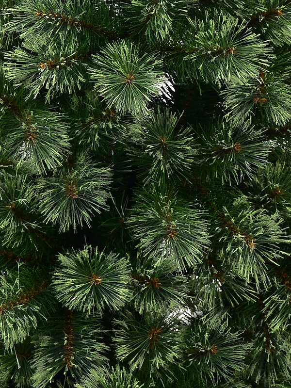 2.3m Colorado Springs Pine Christmas Tree | 974 Cashmere Tips — image 5
