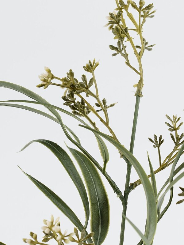 Green Eucalyptus Albens With Buds Long Christmas Stem | 55cm — image 3