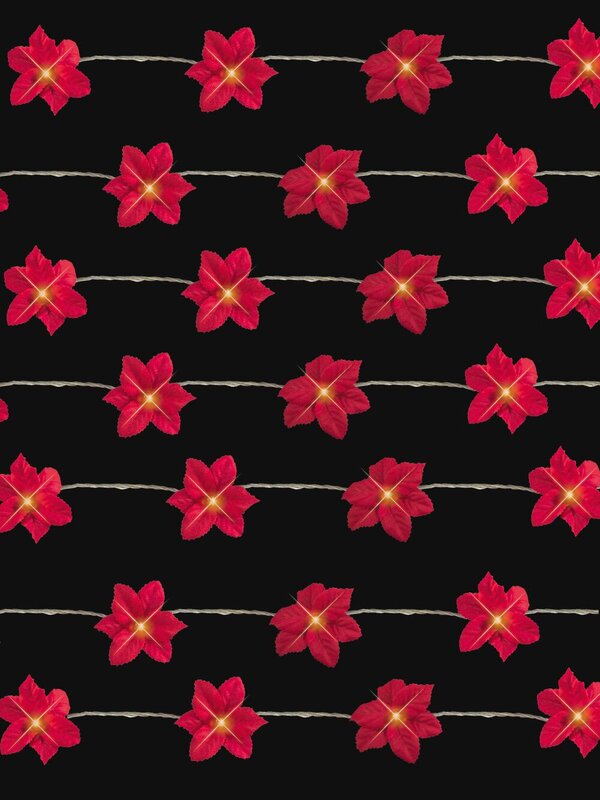 80 Red Poinsettia Flowers & LEDs String Light - 12m
