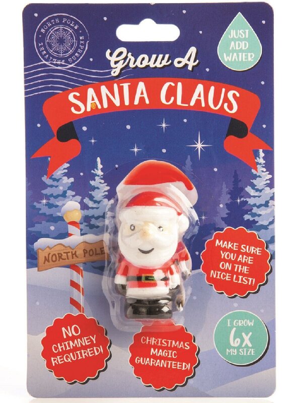 Grow Your Own Santa Claus - Just Add Water To Grow Father Christmas — image 2