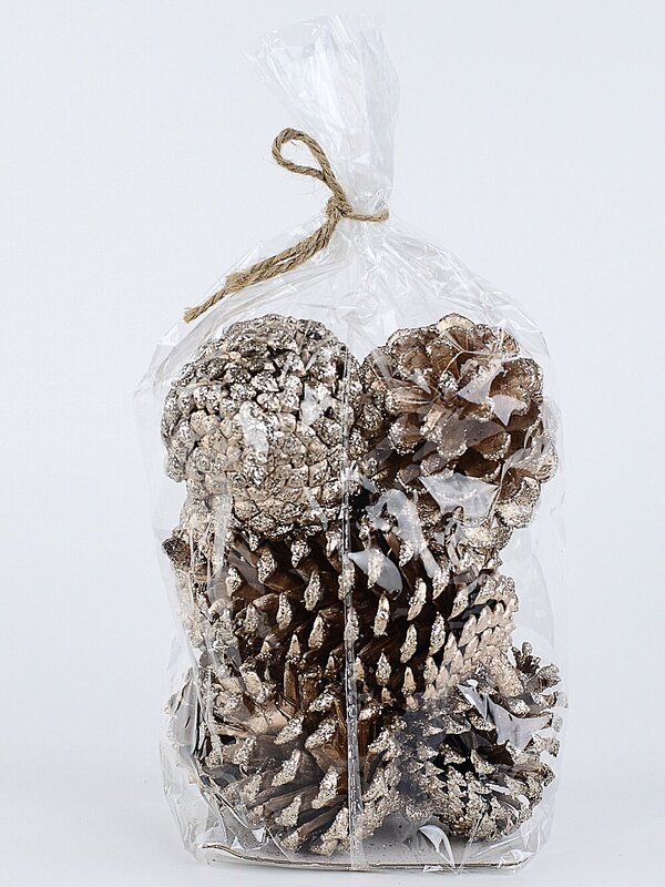 Natural Large Champagne Glittered Pinecones | 200g — image 6