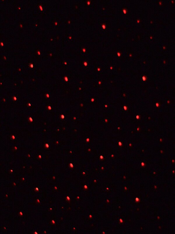 Red & Green Dot Starry Night LED Christmas Garden Laser Light |  5m x 5m — image 4