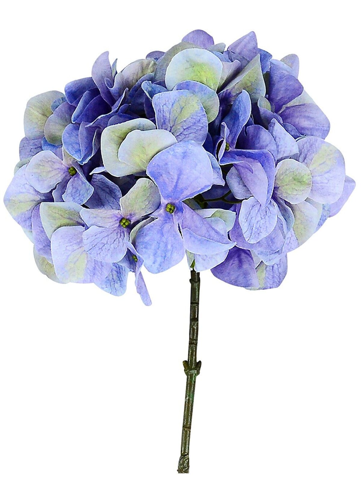 Blue With Green Hydrangea Floret Cluster Long Christmas Stem | 68cm
