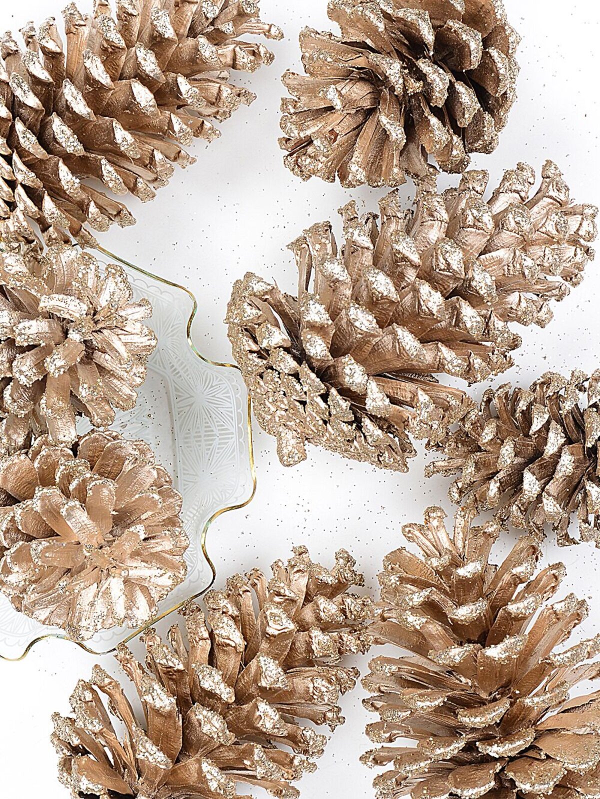 Natural Large Champagne Glittered Pinecones | 200g