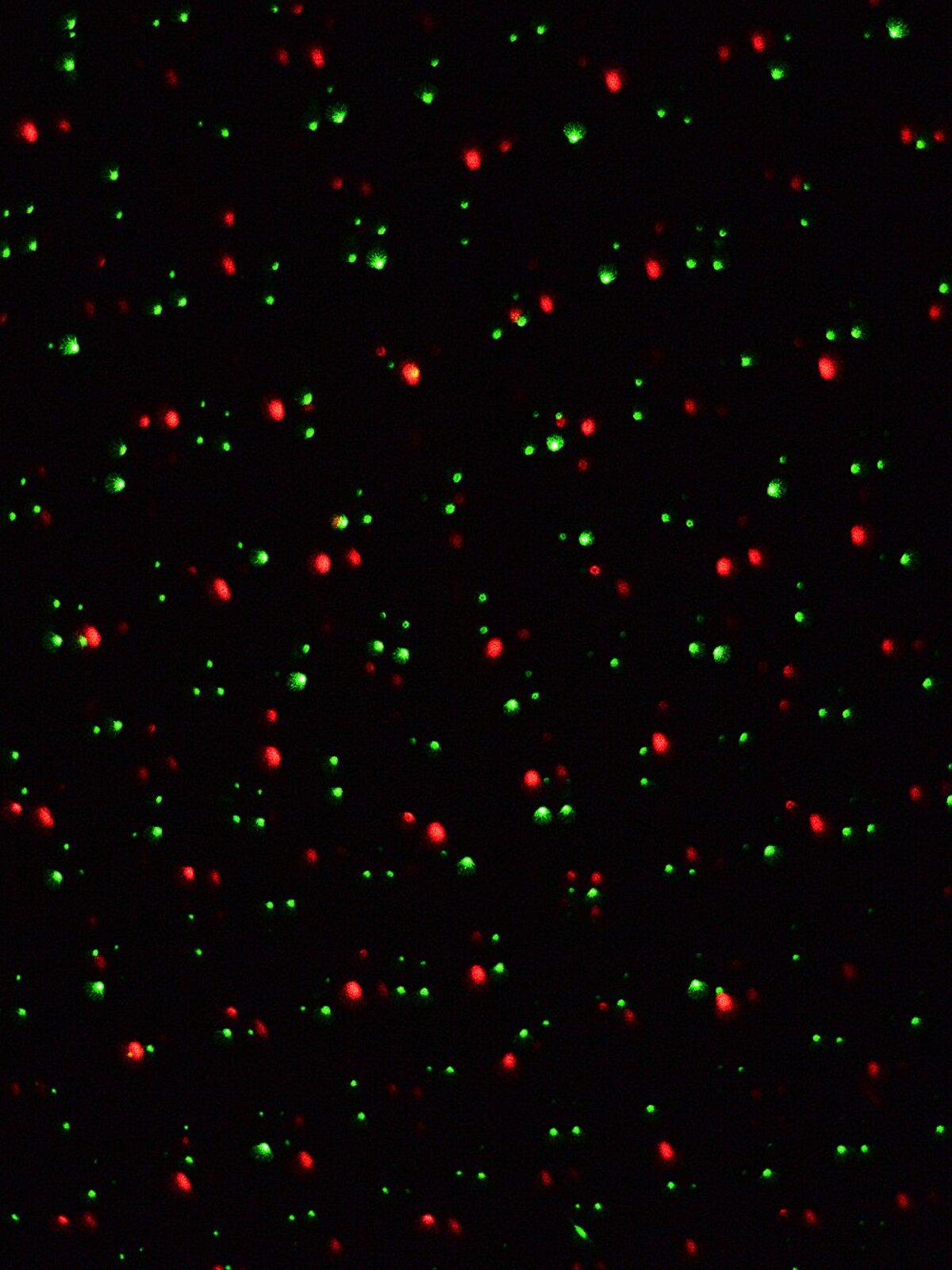 Red & Green Dot Starry Night LED Christmas Garden Laser Light |  5m x 5m