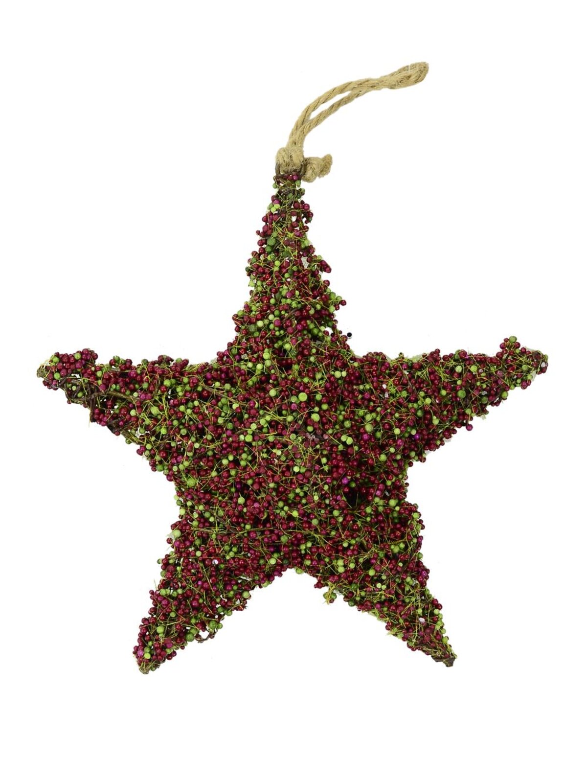 The Moss Vale Hanging Star Decoration - 23cm