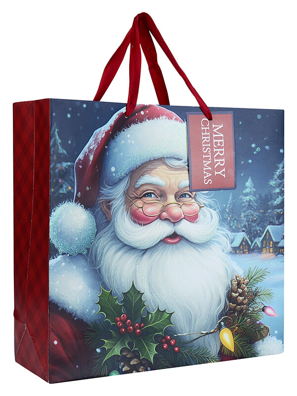 Small Nostalgic Father Christmas & Winter Village Gift Bag | 17cm