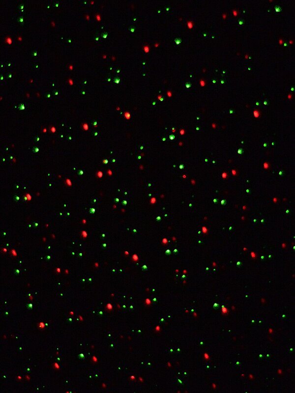 Red & Green Dot Starry Night LED Christmas Garden Laser Light |  5m x 5m